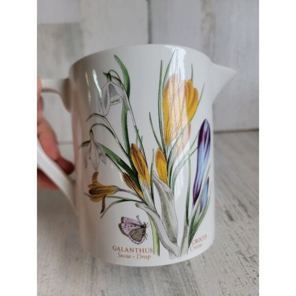 Botanic Gardens crocus meadow saffron snow drop picture flower - Picture 9 of 11